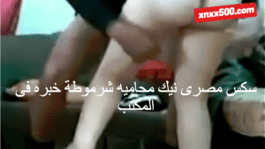 سكس مصرى سكس مصرى