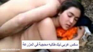 سكس عربي