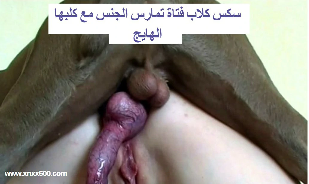 سكس العائلة المنيوكة جماعى سكس محارم hd