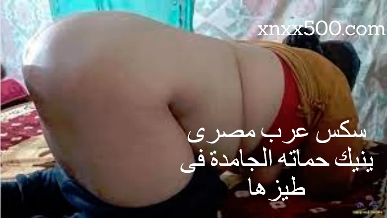 سكس عرب مصرى ينيك حماته الجامدة فى طيزها