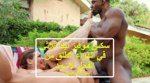 سكس موفيز سكس موفيز