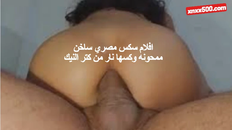 افلام سكس مصري ساخن ممحونه وكسها نار من كتر النيك
