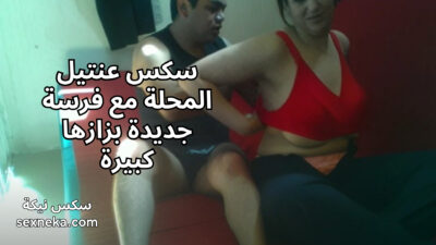 سكس عنتيل المحلة مع فرسة جديدة بزازها كبيرة ملبن xxhx