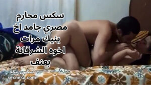 سكس محارم مصري سكس محارم مصري