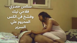 سكس مصري فلاحي