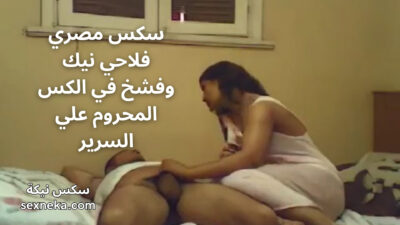 سكس مصري فلاحي نيك وفشخ في الكس المحروم علي السرير