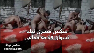 سكس مصري